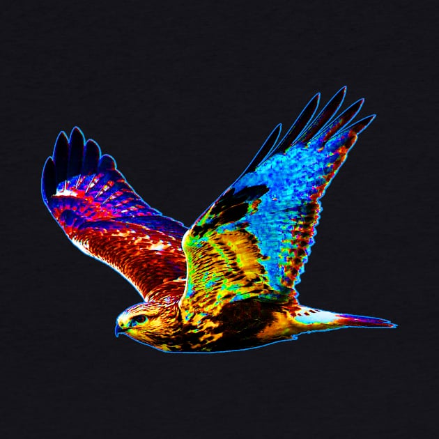 Colorful hawk by letnothingstopyou